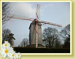 Cassel_Reco (30)